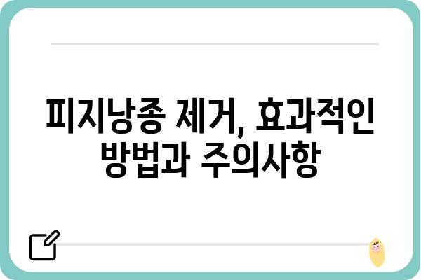 피지낭종 제거, 효과적인 방법과 주의사항 | 피지낭종, 여드름, 낭포, 치료, 관리