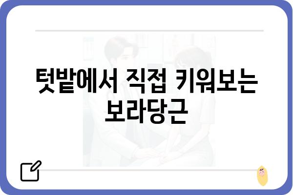 보라당근의 매력에 빠지다| 색다른 맛과 영양, 재배 정보 | 보라당근, 컬러푸드, 건강, 농업, 레시피