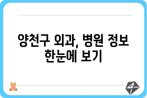 양천구 외과 추천| 나에게 맞는 병원 찾기 | 양천구, 외과, 진료, 추천, 병원 정보