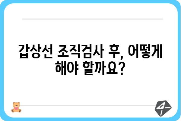 서울 갑상선 조직검사| 병원 & 검사 정보 | 갑상선 질환, 검사 비용, 전문의