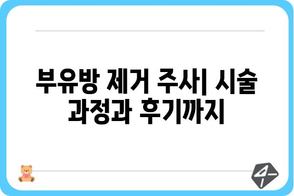 부유방 제거 주사, 효과와 부작용 완벽 정리 | 부유방, 가슴 축소, 미용 시술, 부작용 정보, 비용