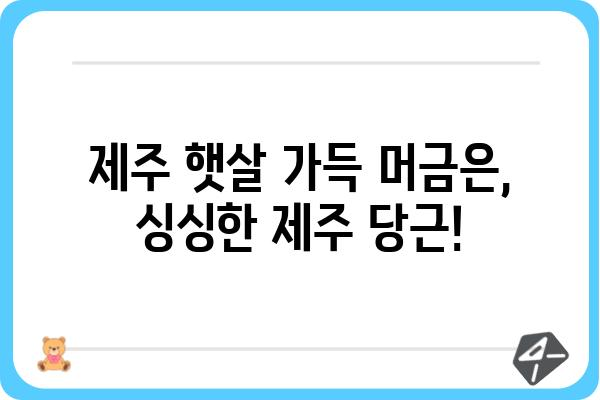 제주 당근 농장| 싱싱함 가득한 제주 당근을 만나보세요 | 제주 당근, 제주 농장, 당근 쇼핑, 농산물 직거래