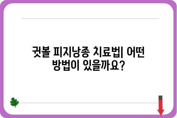 귓볼 피지낭종, 제대로 알아보고 관리하기| 원인, 증상, 치료 | 피지낭종, 귓볼, 낭종, 관리, 치료