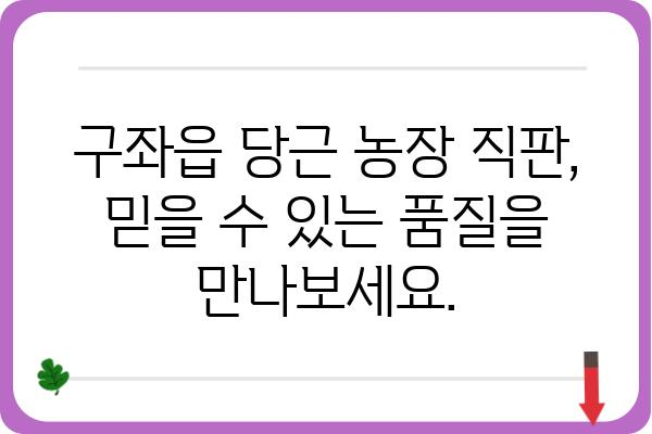 제주 구좌읍 당근 농장 직거래 정보 | 제주도, 당근, 농장, 직판, 싱싱