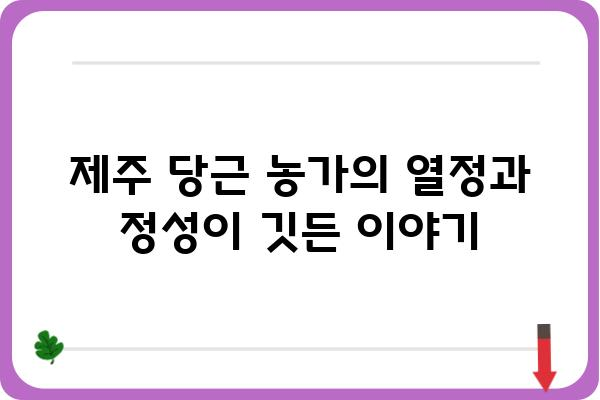 제주 당근, 밭에서 식탁까지| 제주 당근 맛있게 먹는 법 & 제주 당근 농가 이야기 | 제주 특산물, 당근 요리, 제주 당근 농장