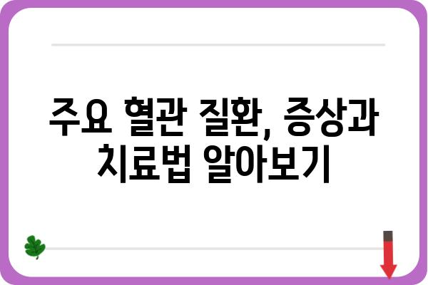 혈관 질환, 명의에게 맡겨야 할까요? | 혈관외과 명의 선택 가이드, 진료 과정, 주요 질환 정보