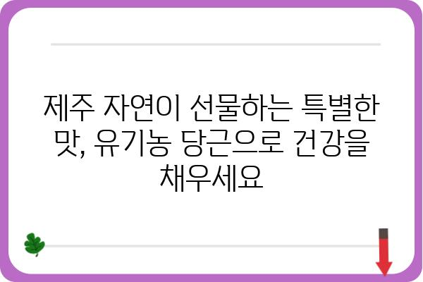 제주도 유기농 당근의 매력| 맛과 건강, 그리고 농부의 정성 | 제주도, 유기농, 당근, 농산물, 지역 특산물, 친환경, 건강식품