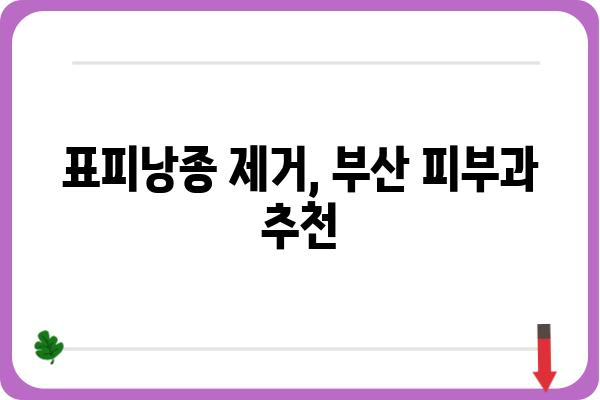 부산 표피낭종 치료, 어디서 어떻게? | 부산 피부과, 낭종 제거, 비용, 후기