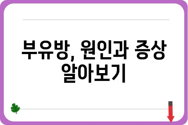 부유방 고민, 이제 그만! 부유방 치료 방법 총정리 | 부유방 제거, 부유방 수술, 부유방 원인, 부유방 관리