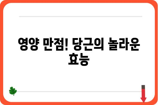 당근의 놀라운 효능 10가지 | 건강, 영양, 면역력, 피부, 다이어트