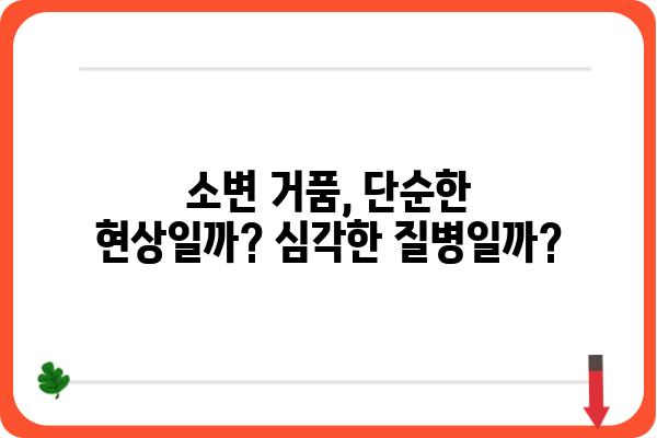 소변 거품, 걱정되시나요? 원인과 해결 방법 총정리 | 건강, 소변, 거품, 원인 분석, 해결 방안