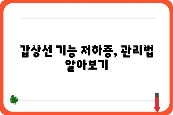 갑상선기능저하증 완벽 가이드| 증상, 원인, 치료, 관리까지 | 갑상선, 건강, 질병, 호르몬