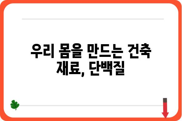 단백질의 모든 것| 종류, 기능, 섭취 가이드 | 영양, 건강, 식단, 단백질 보충제