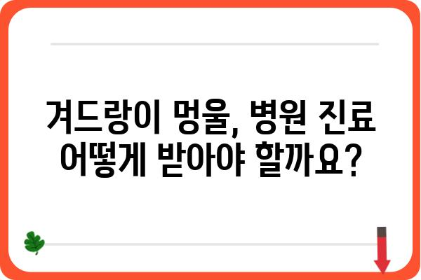 겨드랑이 멍울, 걱정되시나요? | 겨드랑이멍울 병원, 증상과 진료 정보