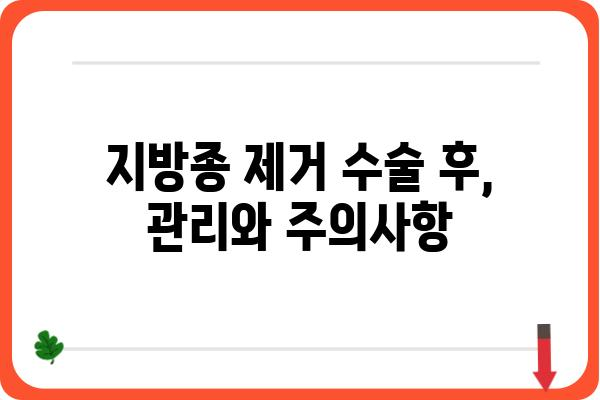 지방종 제거 수술, 알아야 할 모든 것 | 종류, 과정, 비용, 후기, 부작용