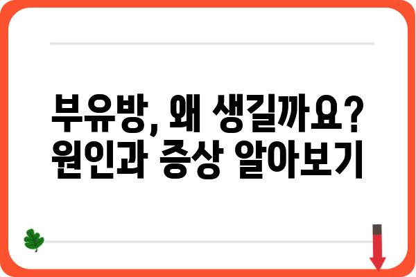 부유방 제거술| 알아야 할 모든 것 | 부유방 수술, 부유방 원인, 비용, 후기, 부유방 제거 방법