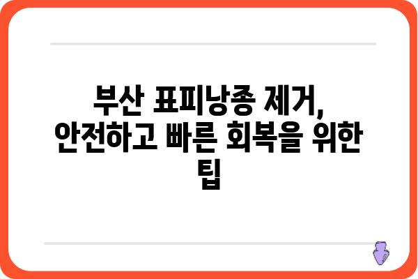 부산 표피낭종 제거| 안전하고 효과적인 치료 방법 알아보기 | 피부과 추천, 비용, 후기, 부산