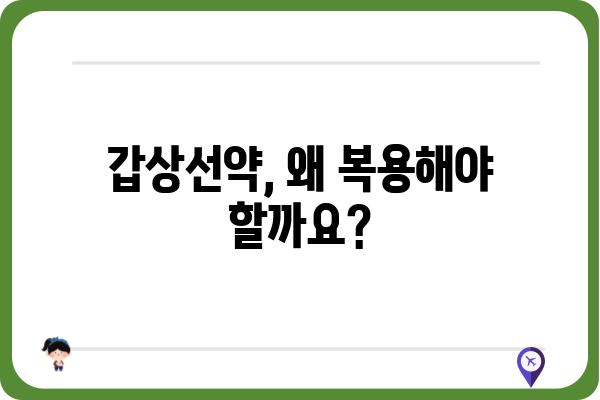 갑상선약 복용, 궁금한 점 해결하기 | 갑상선 질환, 약물 치료, 주의 사항, 부작용