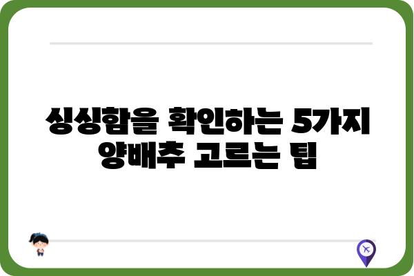 유기농 양배추 제대로 고르는 법| 싱싱함과 영양 가득한 선택 | 유기농 채소, 양배추 고르는 팁, 건강 식단