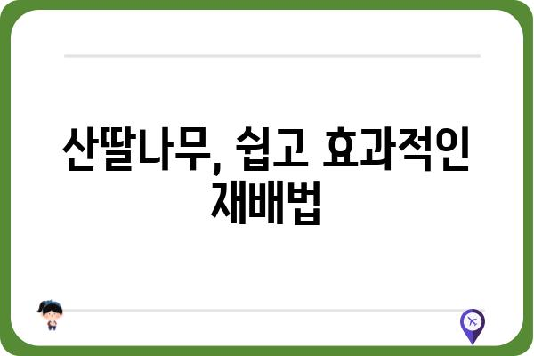 산딸나무, 봄을 알리는 아름다운 꽃과 열매 이야기 |  꽃, 열매, 관상수, 재배, 효능