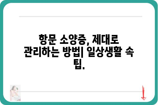 항문 소양증 원인과 해결 방안| 증상 완화 및 예방 위한 핵심 가이드 | 가려움증, 치료, 관리, 생활 습관