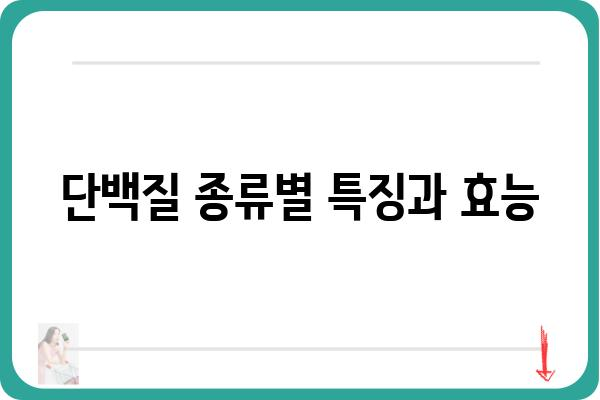 단백질의 모든 것| 종류, 기능, 섭취 가이드 | 영양, 건강, 식단, 단백질 보충제