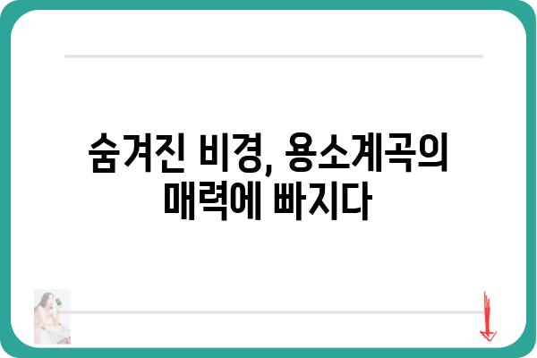 용소계곡 여행 가이드| 숨겨진 비경과 즐길 거리 총정리 | 용소계곡, 강원도, 여행, 관광, 가볼 만한 곳