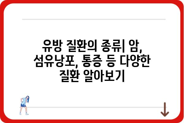 유방 질환, 알아야 할 정보| 종류, 증상, 진단 및 치료 | 여성 건강, 유방암, 유방 섬유낭포, 유방 통증