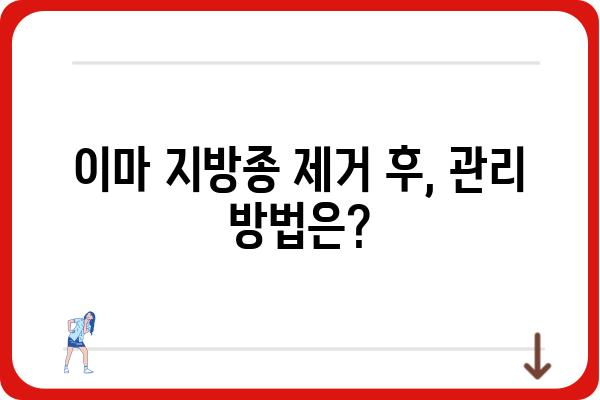 이마 지방종 제거, 안전하고 효과적인 방법 알아보기 | 지방종, 제거, 수술, 비용, 후기