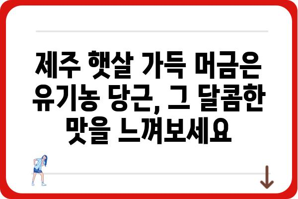 제주도 유기농 당근의 매력| 맛과 건강, 그리고 농부의 정성 | 제주도, 유기농, 당근, 농산물, 지역 특산물, 친환경, 건강식품