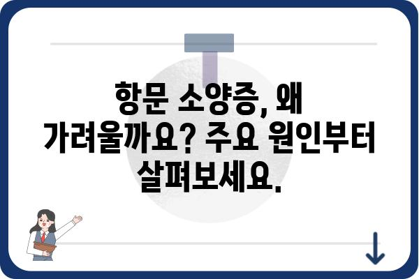 항문 소양증 원인과 해결 방안| 증상 완화 및 예방 위한 핵심 가이드 | 가려움증, 치료, 관리, 생활 습관