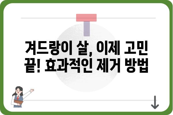 겨드랑이살 제거, 효과적인 방법 총정리 | 겨드랑이살, 겨드랑이 지방, 겨드랑이 운동, 겨드랑이 살빼는법