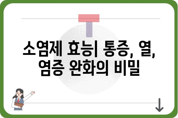 소염제 종류별 효능 및 부작용 완벽 가이드 | 진통, 해열, 염증, 약물 정보