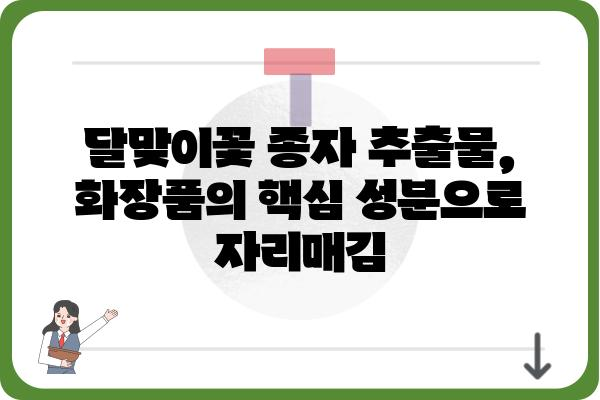 달맞이꽃 종자 추출물의 효능과 활용 | 피부, 건강, 화장품, 영양