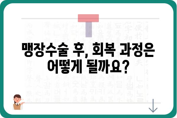 분당 맹장수술, 어디서 어떻게? | 병원 추천, 수술 과정, 비용 정보