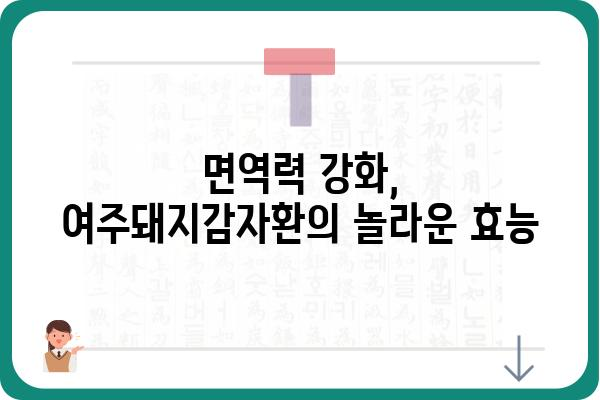 여주돼지감자환 효능 제대로 알아보기| 혈당, 면역, 다이어트까지 | 건강 레시피, 부작용, 복용법