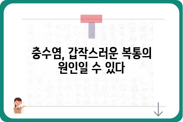 충수염, 혹시 겪고 계신가요? 증상과 치료, 그리고 예방법까지 | 급성충수염, 만성충수염, 충수절제술, 복통, 염증