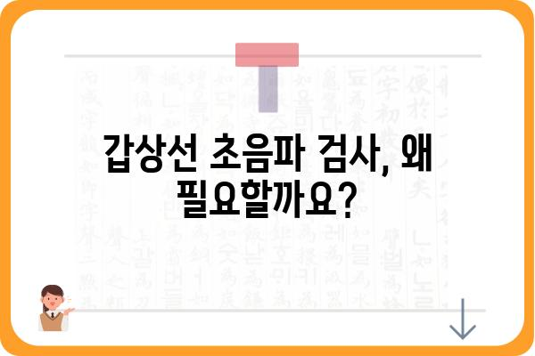 갑상선 초음파 검사, 이것만 알면 걱정 끝! | 갑상선 질환, 검사 과정, 주의 사항