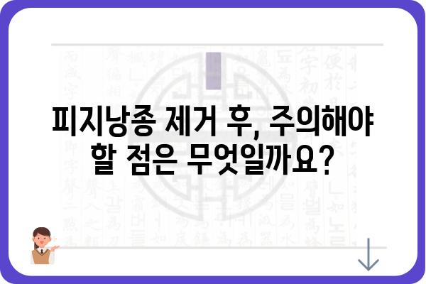 얼굴 피지낭종 제거, 안전하고 효과적인 방법 알아보기 | 피지낭종, 제거 방법, 치료, 비용