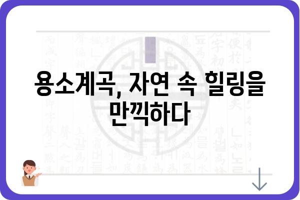 용소계곡 여행 가이드| 숨겨진 비경과 즐길 거리 총정리 | 용소계곡, 강원도, 여행, 관광, 가볼 만한 곳