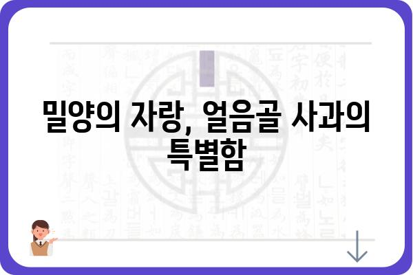 밀양 얼음골 사과즙의 매력, 제대로 알아보기 | 밀양, 얼음골, 사과즙, 건강, 효능, 맛, 구매