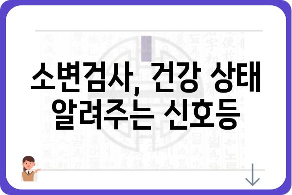 소변검사 결과 해석 가이드| 나의 건강 상태는? | 소변검사, 건강 지표, 질병 진단, 검사 결과 해석