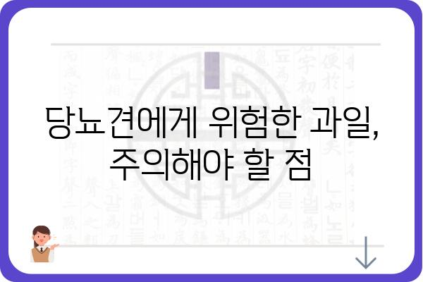 당뇨견을 위한 과일 선택 가이드| 안전하게 즐길 수 있는 과일은? | 당뇨, 견과류, 건강, 반려견, 영양