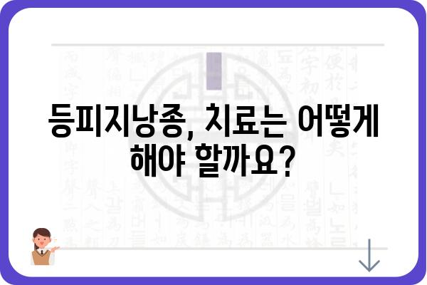 등피지낭종| 원인, 증상, 치료 및 예방 | 피부 질환, 낭종, 건강 정보