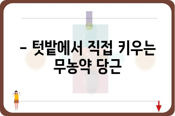 무농약 당근 재배 가이드| 흙부터 수확까지 | 친환경 농업, 유기농, 건강한 먹거리