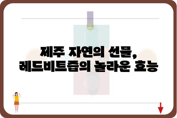 제주산 레드비트즙의 놀라운 효능 5가지 | 건강, 혈액순환, 면역력, 혈압, 제주