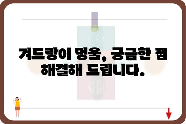 겨드랑이 멍울, 걱정되시나요? | 겨드랑이멍울 병원, 증상과 진료 정보