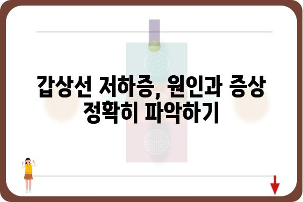 갑상선 저하증, 나에게 딱 맞는 관리법 찾기 | 증상, 원인, 치료, 식단, 운동