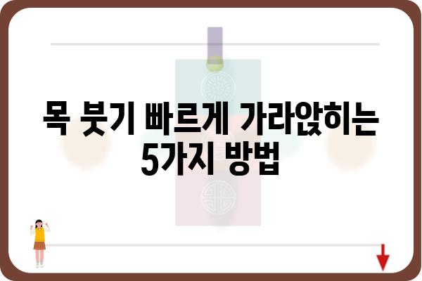 목 부었을 때, 붓기 빨리 가라앉히는 방법 5가지 | 목 부종, 림프절 부종, 붓기 완화