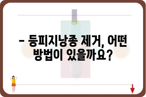 등피지낭종 제거, 안전하고 효과적인 방법 알아보기 | 등피지낭종, 제거, 치료, 주의사항